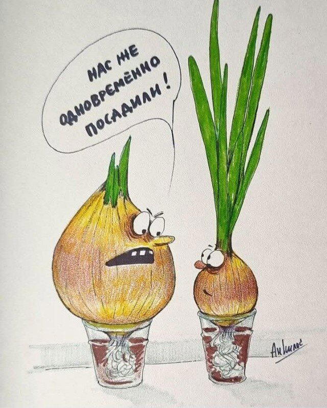 В жизни надо пробовать все дички по пути