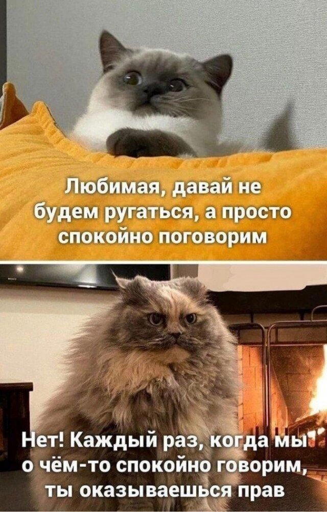 В жизни надо пробовать все дички по пути