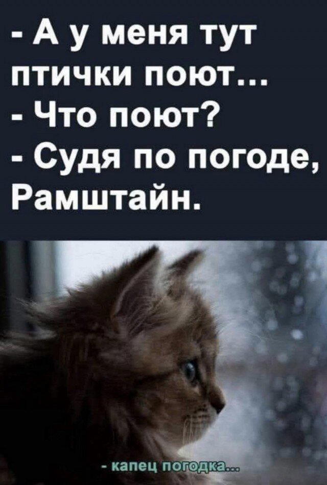 В жизни надо пробовать все дички по пути