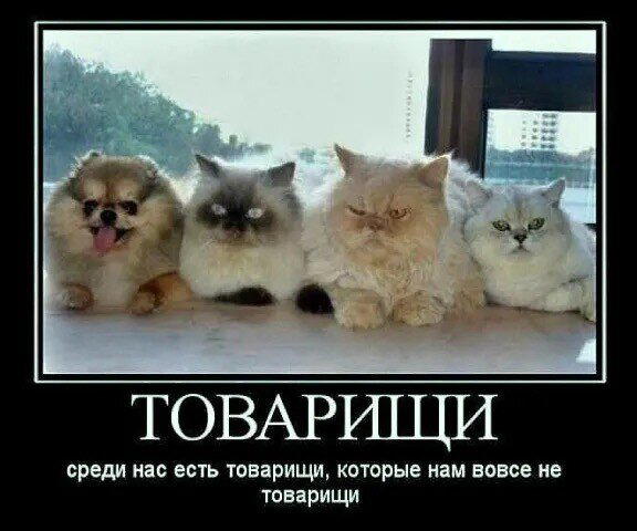 В жизни надо пробовать все дички по пути