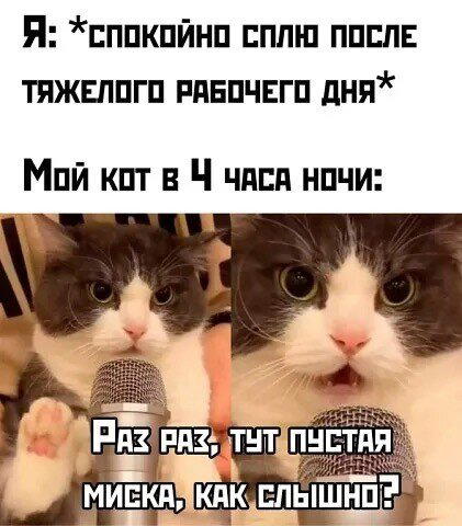В жизни надо пробовать все дички по пути