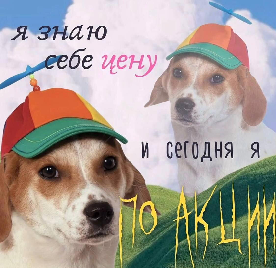 В жизни надо пробовать все дички по пути