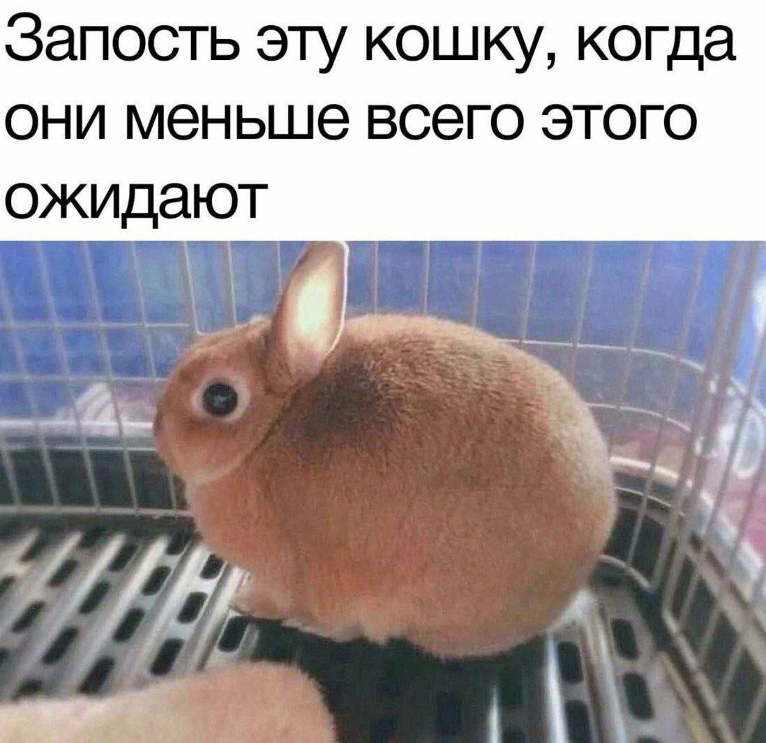 В жизни надо пробовать все дички по пути