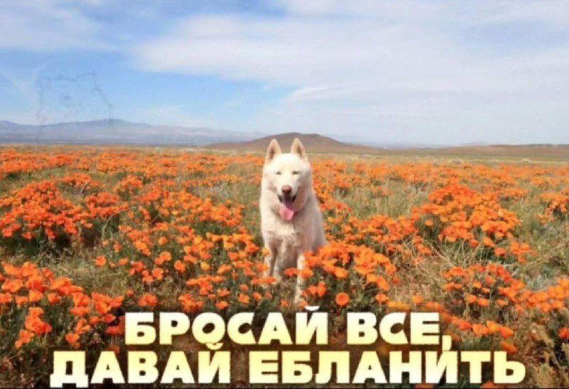 В жизни надо пробовать все дички по пути