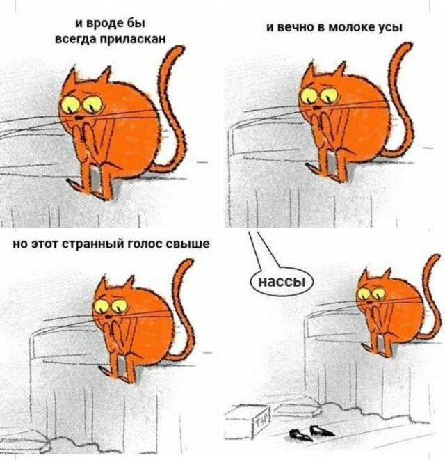 Пятницо пятница новой дички приветы