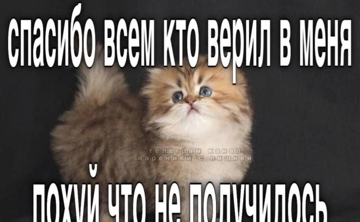 Пятницо пятница новой дички приветы