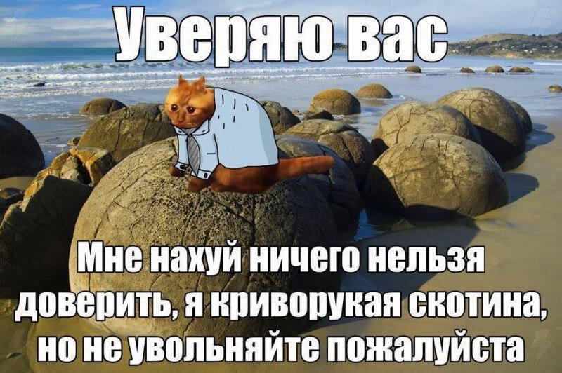 Пятницо пятница новой дички приветы