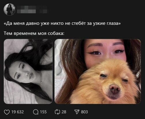 Пятницо пятница новой дички приветы