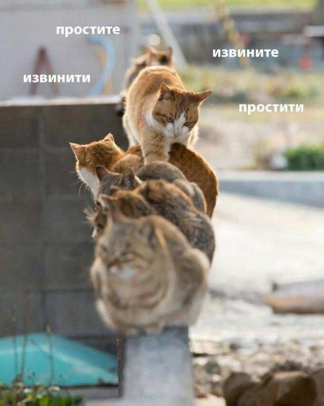 Пятницо пятница новой дички приветы