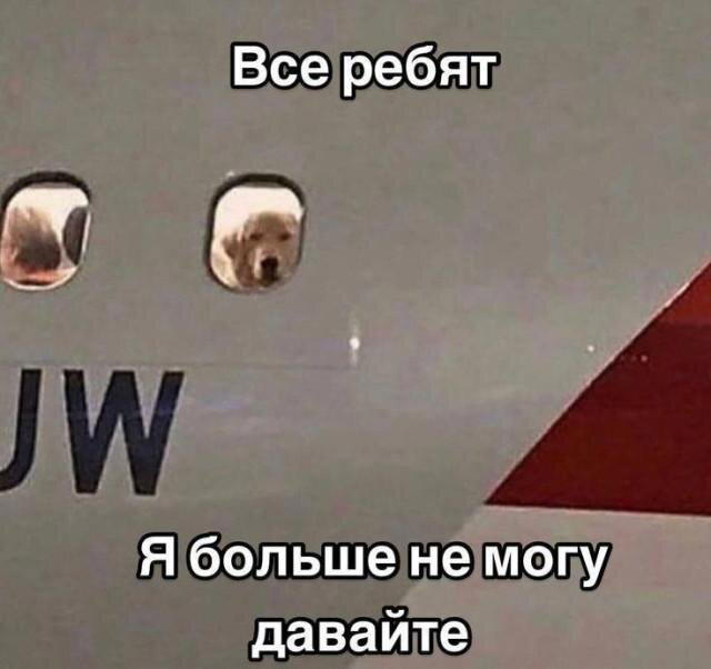 Пятницо пятница новой дички приветы