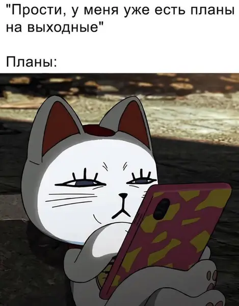 Пятницо пятница новой дички приветы