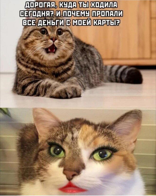 Пятницо пятница новой дички приветы