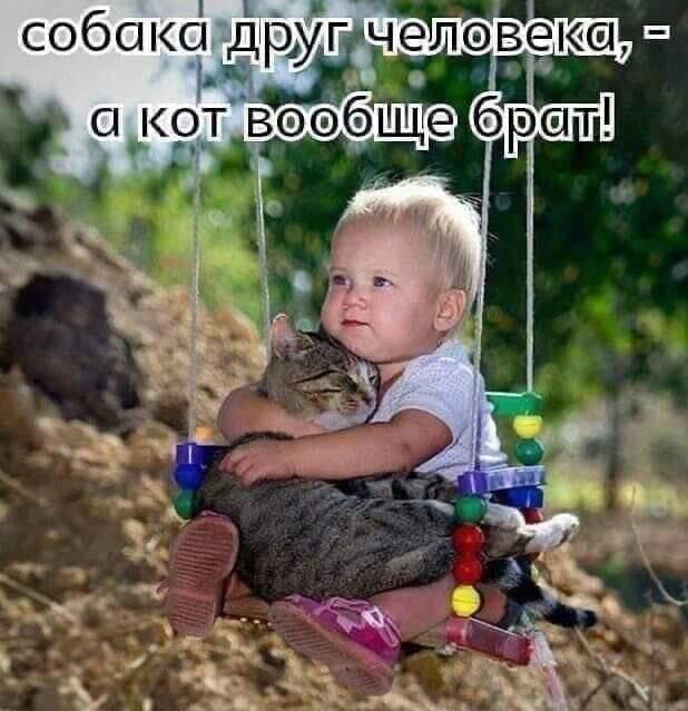 Пятницо пятница новой дички приветы