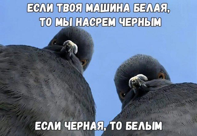 Пятницо пятница новой дички приветы