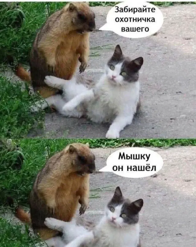 Живите не по лжи а подичке