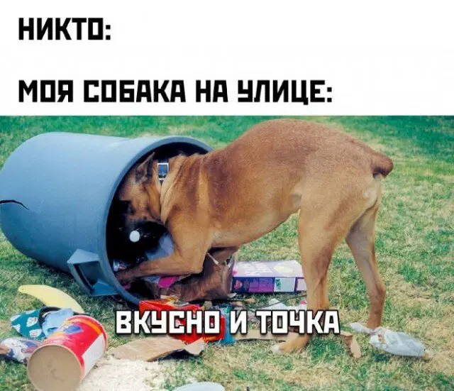 Живите не по лжи а подичке