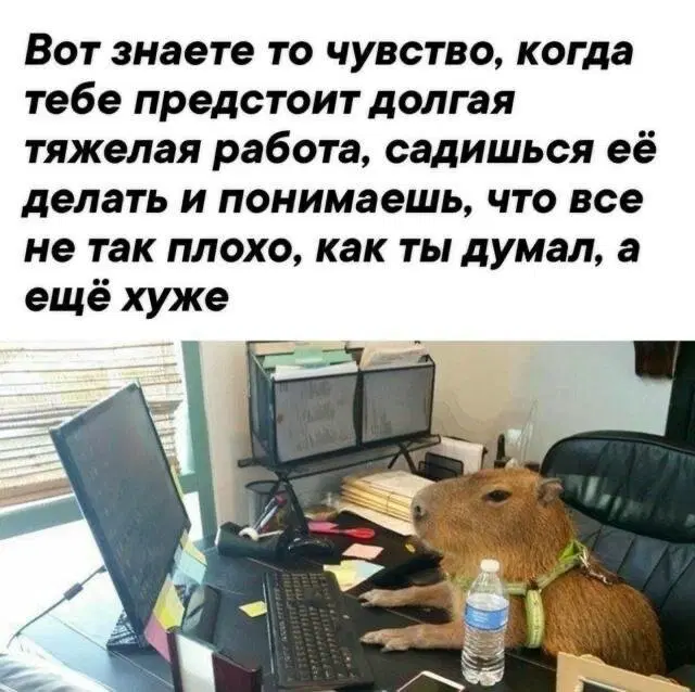 Живите не по лжи а подичке