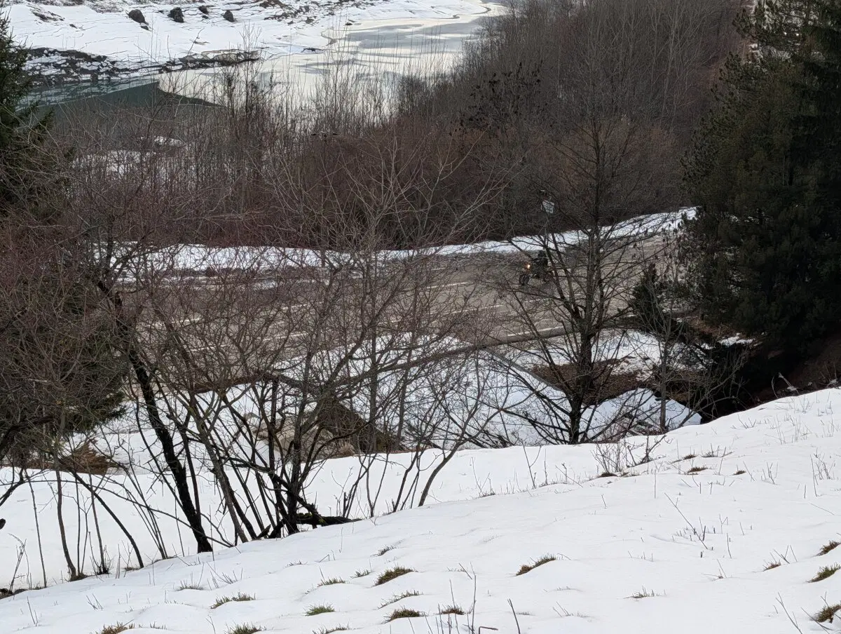 Дети носятся на питбайках.