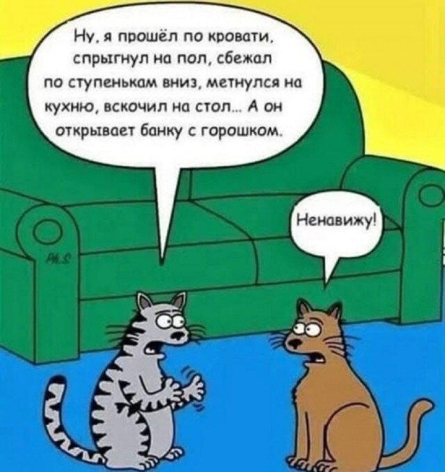Дичка субботняя