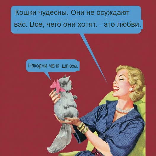 Дичка субботняя