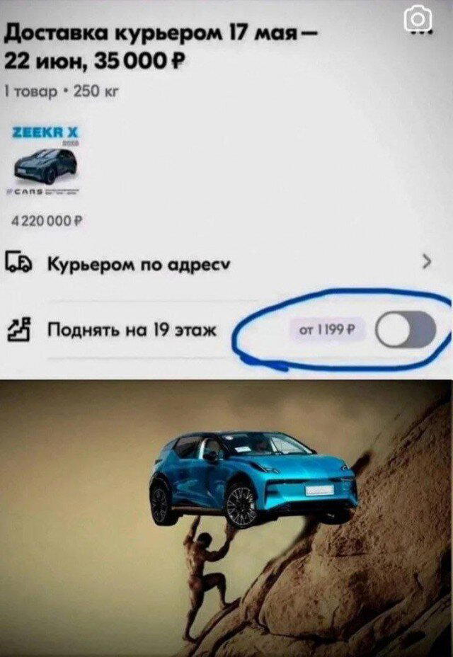 Дичка субботняя