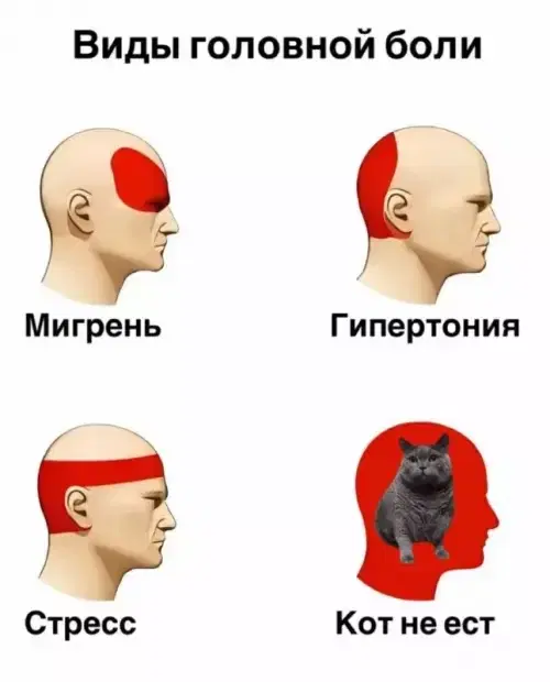 Дичка субботняя