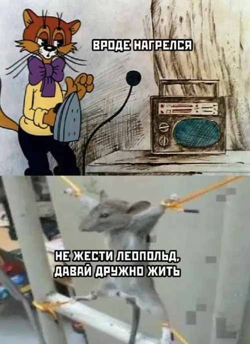 Дичка субботняя