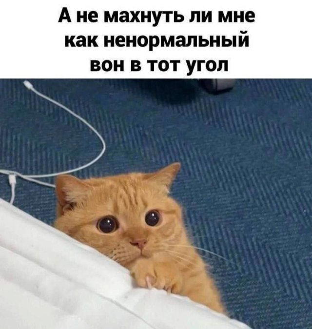 Дичка субботняя