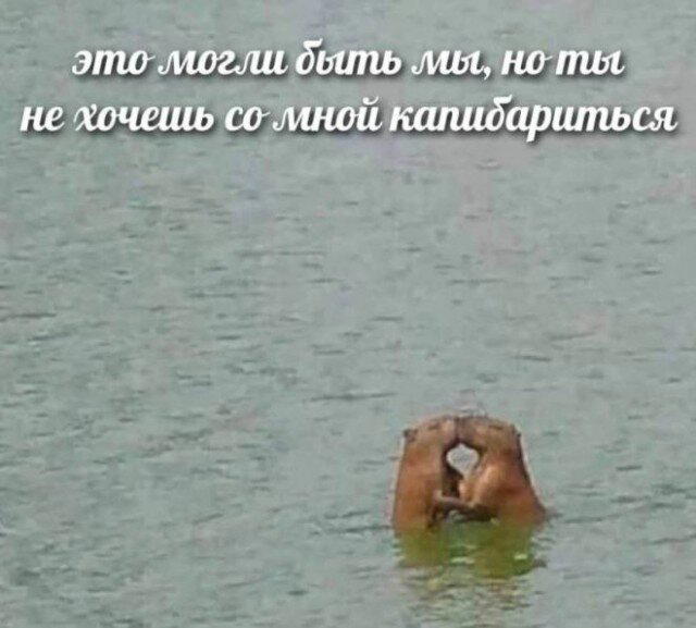 Дички на ночь