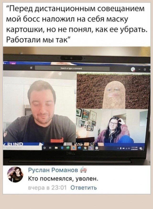 Дички на ночь