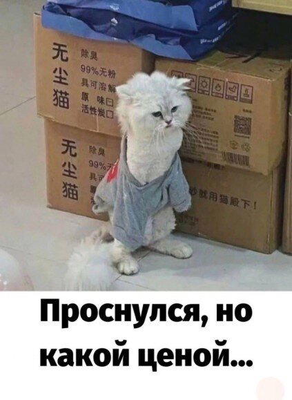 Дички на ночь