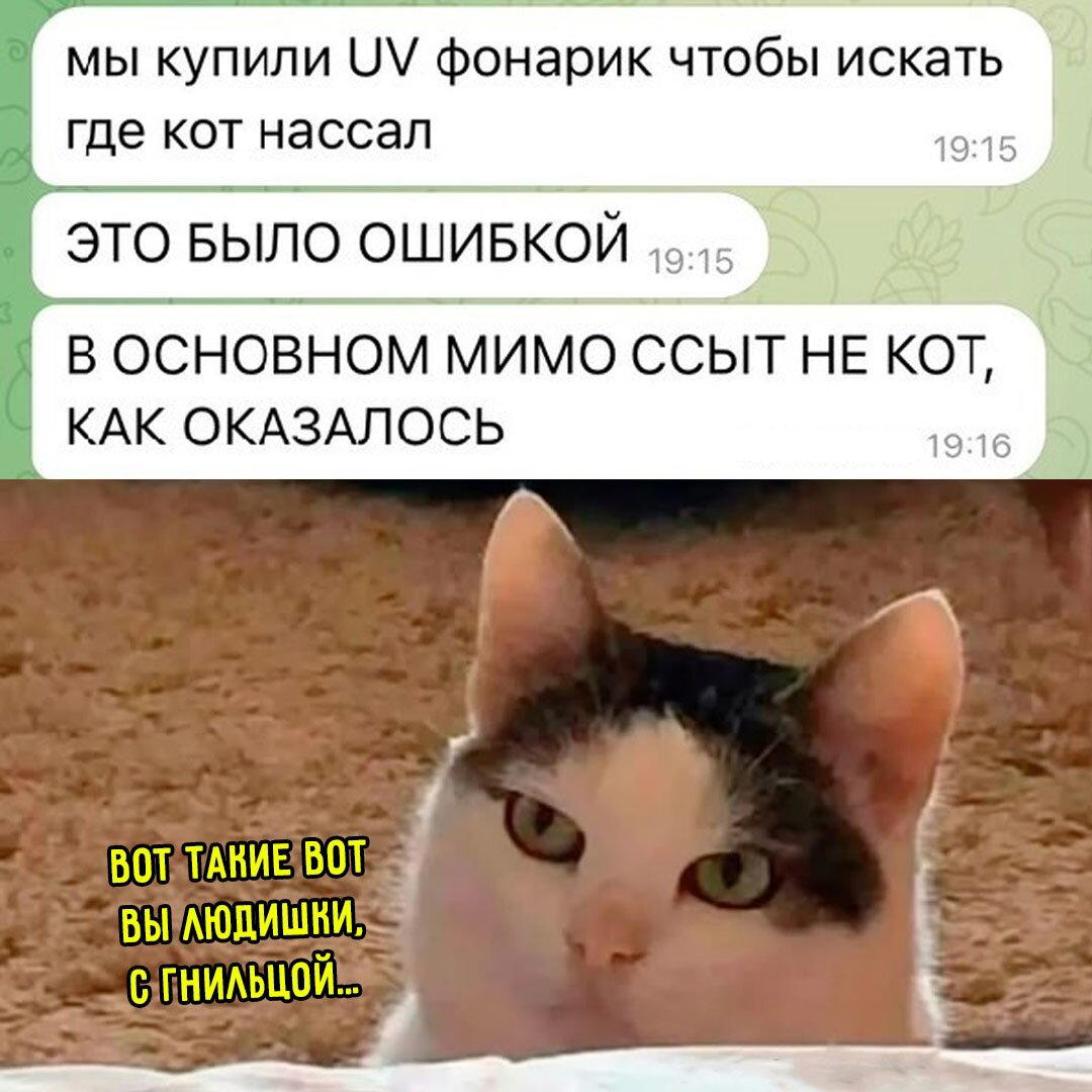 Дички на ночь