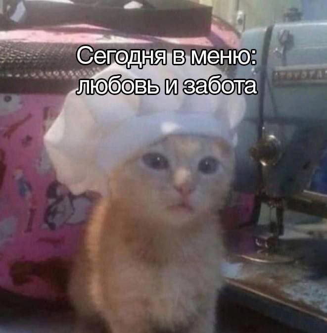 Дички на ночь