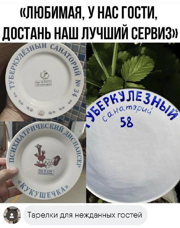 Дички на ночь