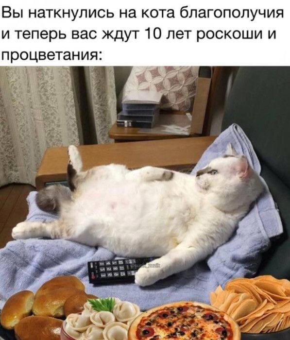 Дички на ночь