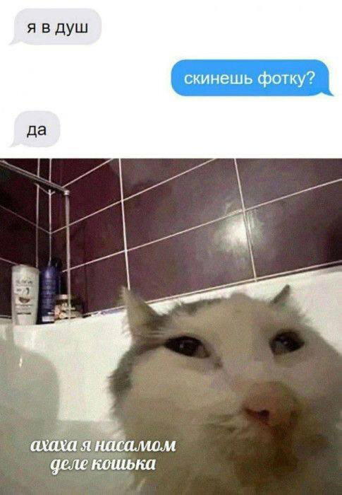 Дички на ночь