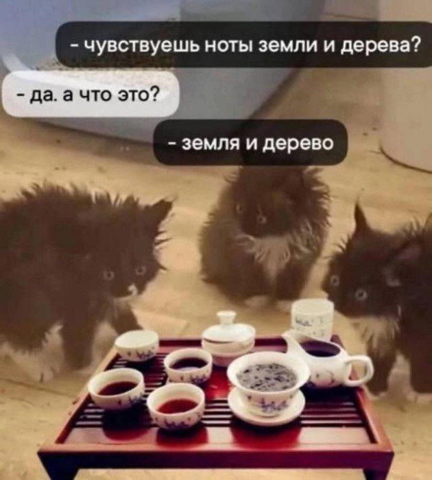 Дички на ночь
