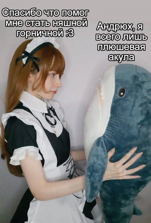 Дички на ночь