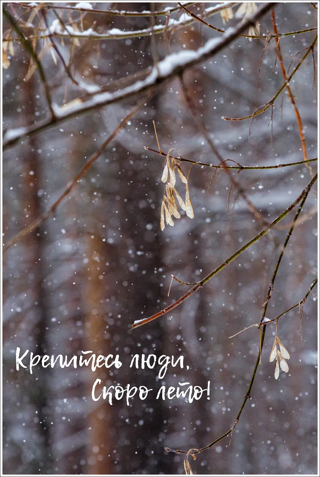 Скоро лето!