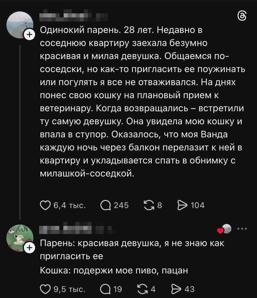 Дички с кислинкой