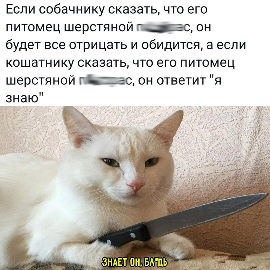 Дички с кислинкой