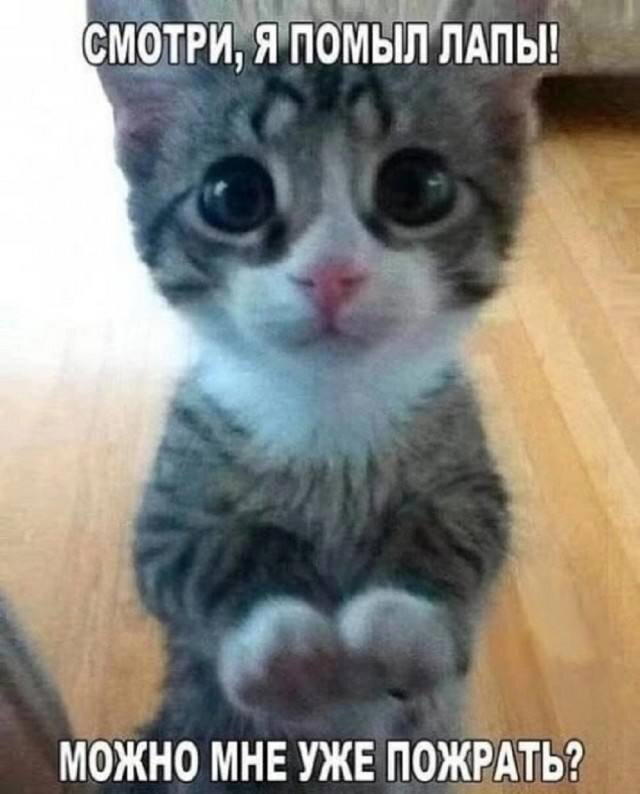 Дички с кислинкой