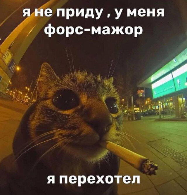 Дички с кислинкой