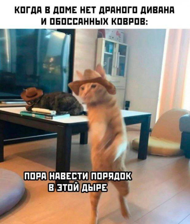 Дички с кислинкой