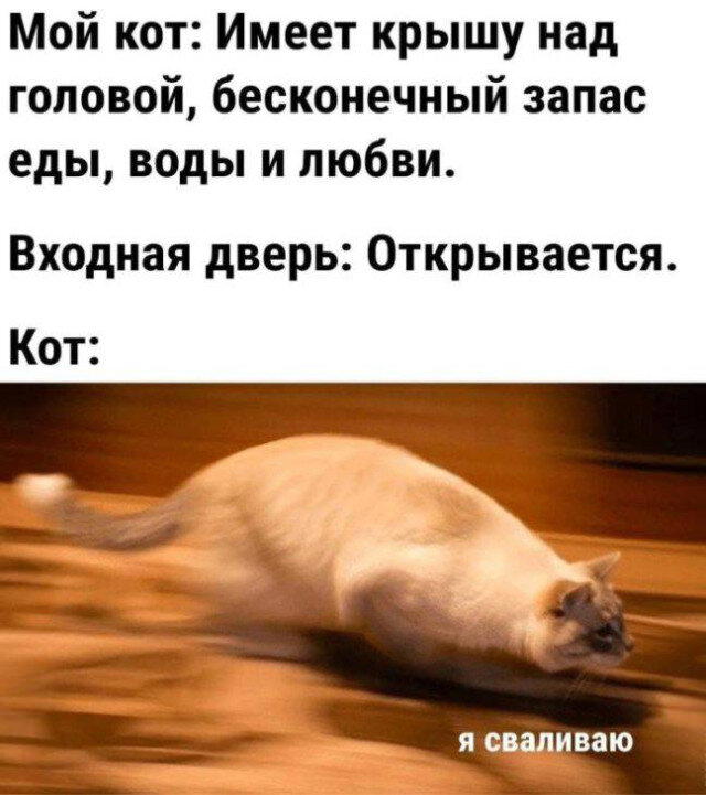 Дички с кислинкой