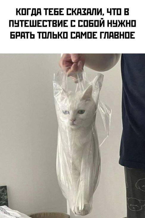 Дички с кислинкой