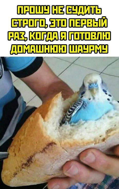 Дички с кислинкой