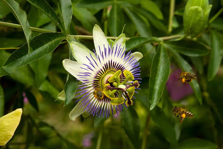 на загрузку