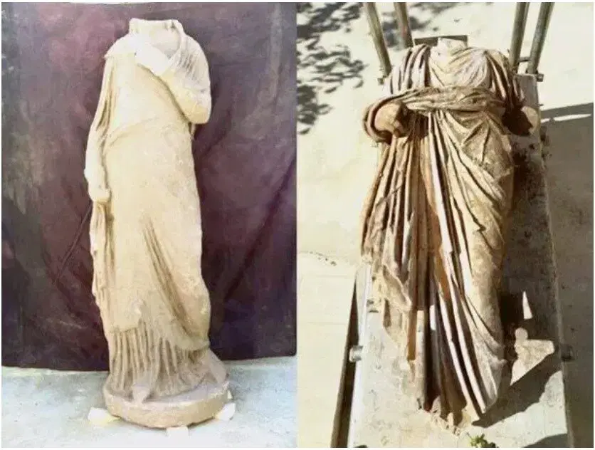 Ивент Вомбата. Слово недели - китаец