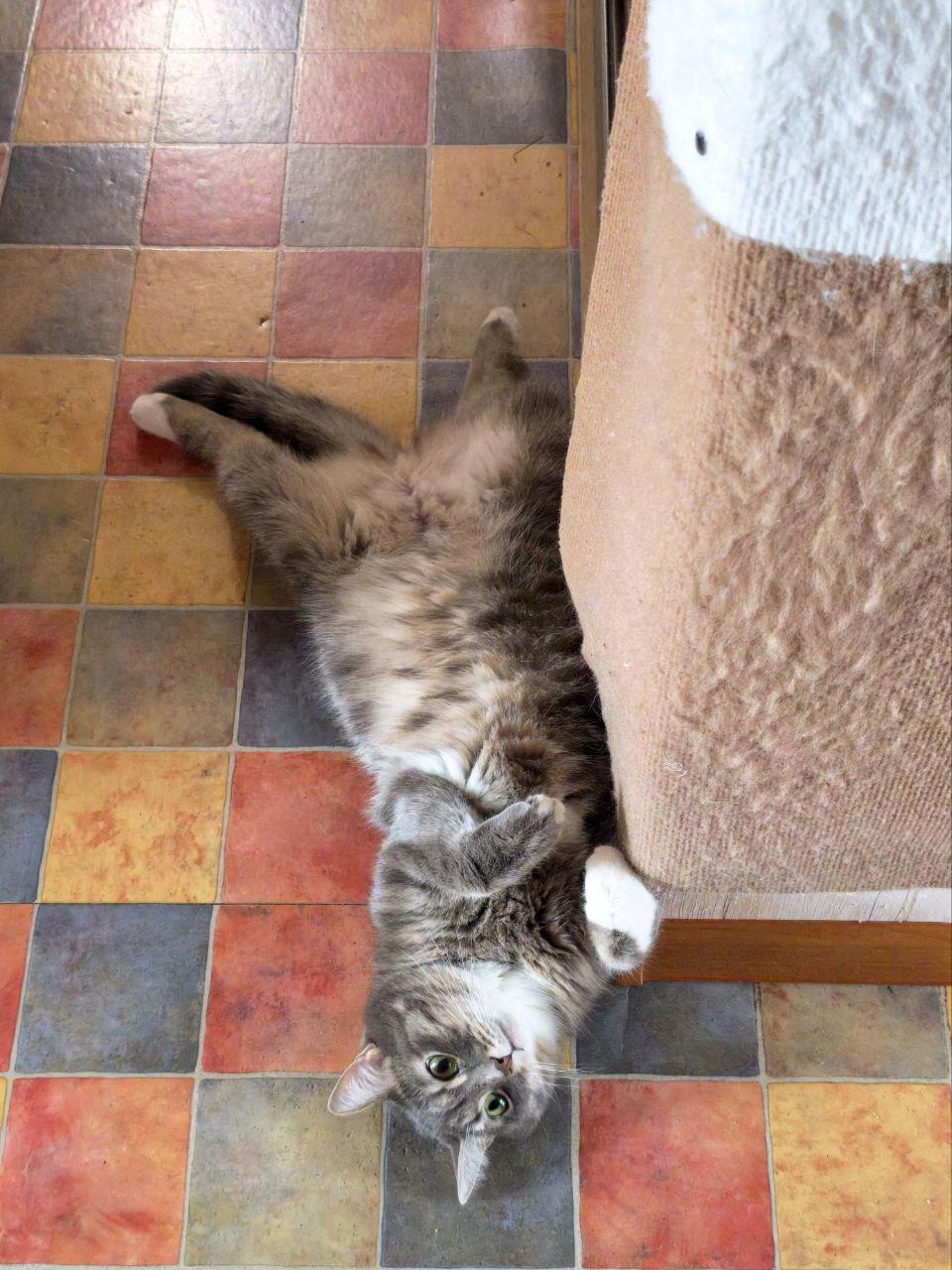 Доброго понедельника, друзья!!!